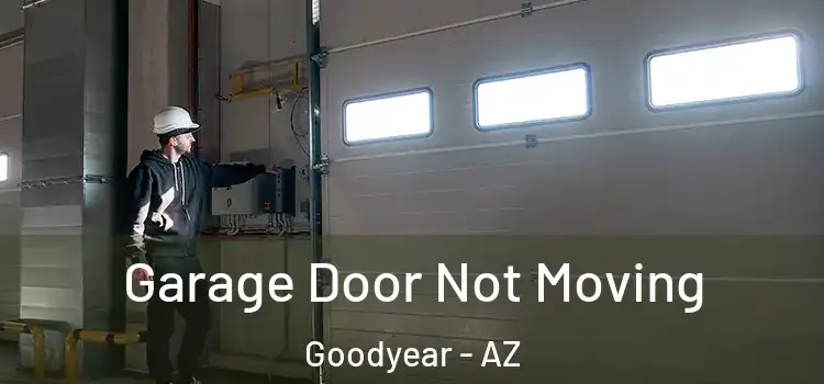  Garage Door Not Moving Goodyear - AZ
