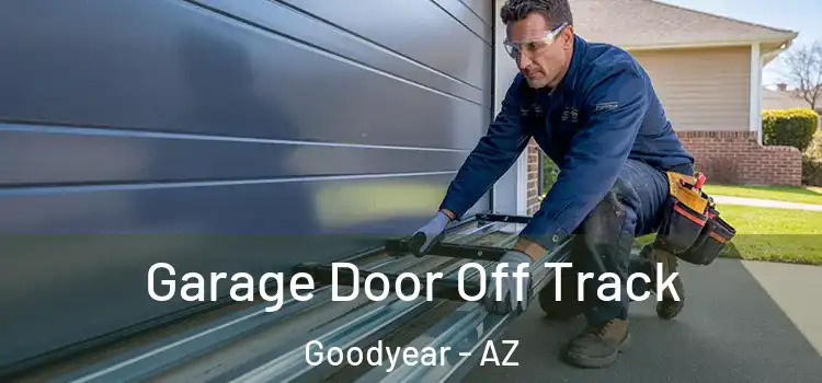  Garage Door Off Track Goodyear - AZ