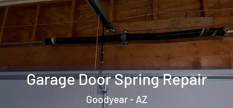  Garage Door Spring Repair Goodyear - AZ