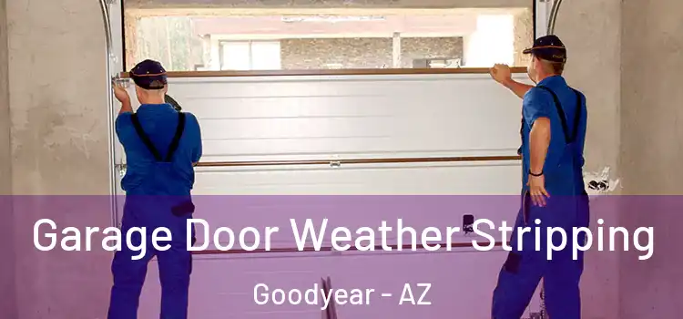  Garage Door Weather Stripping Goodyear - AZ