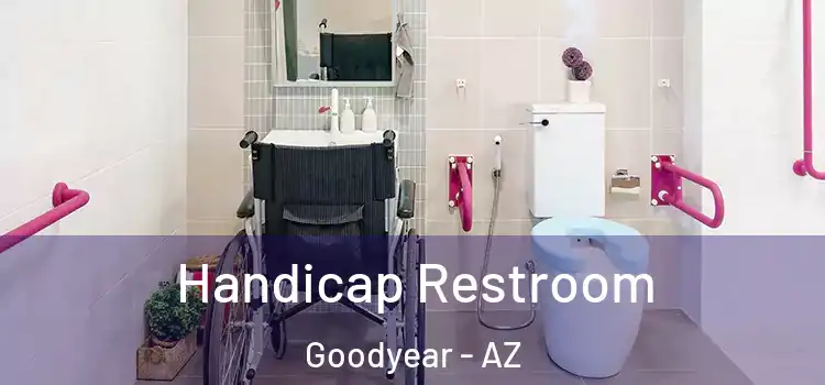 Handicap Restroom Goodyear - AZ