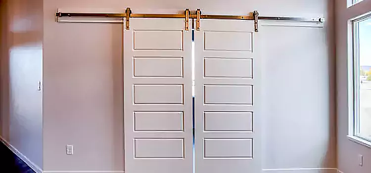 Glass Barn Door with Installation Hardware Kit Goodyear
