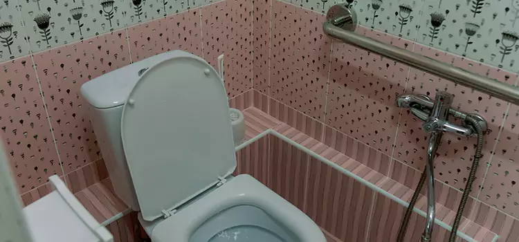 Meeting Diverse Needs With Accessible Restroom Solutions in Goodyear, AZ