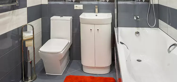 Hansgrohe Shaving Mirror Goodyear
