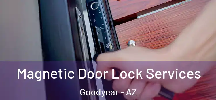 Magnetic Door Lock Services Goodyear - AZ