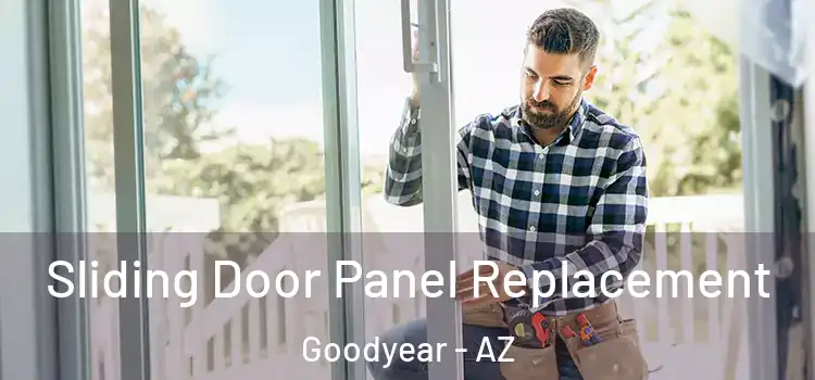  Sliding Door Panel Replacement Goodyear - AZ